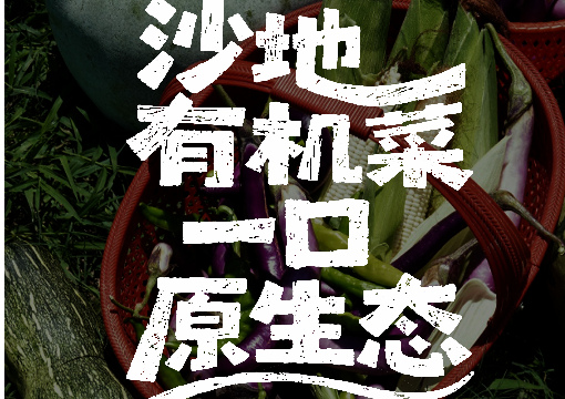 爱丽芬